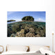 Healthy Coral Reef Grows Wall Decal Design 5
