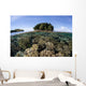 Healthy Coral Reef Grows Wall Decal Design 5