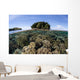 Healthy Coral Reef Grows Wall Decal Design 5