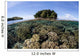 Healthy Coral Reef Grows Wall Decal Design 5