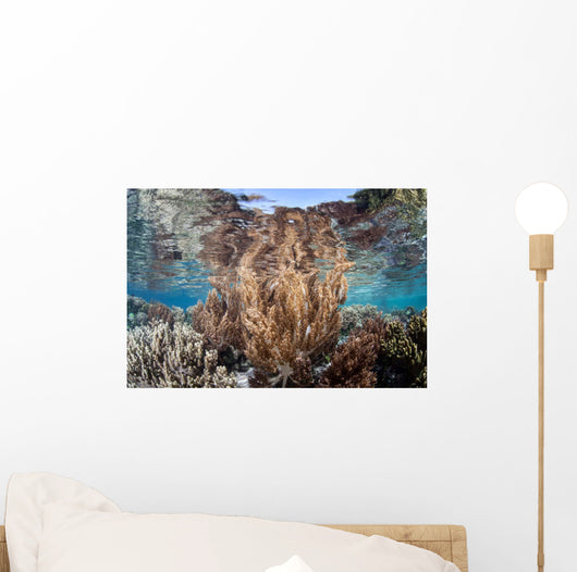 Healthy and Diverse Coral Wall Decal Design 4