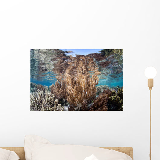 Healthy and Diverse Coral Wall Decal Design 4