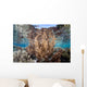 Healthy and Diverse Coral Wall Decal Design 4