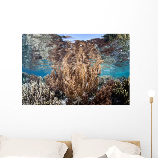 Healthy and Diverse Coral Wall Decal Design 4