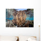 Healthy and Diverse Coral Wall Decal Design 4