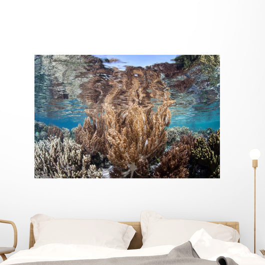 Healthy and Diverse Coral Wall Decal Design 4