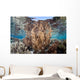 Healthy and Diverse Coral Wall Decal Design 4