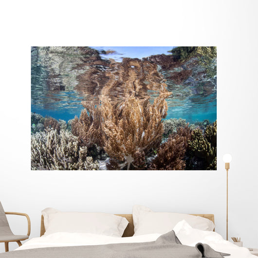 Healthy and Diverse Coral Wall Decal Design 4