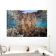 Healthy and Diverse Coral Wall Decal Design 4