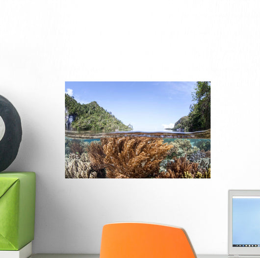Healthy and Diverse Coral Wall Decal Design 3