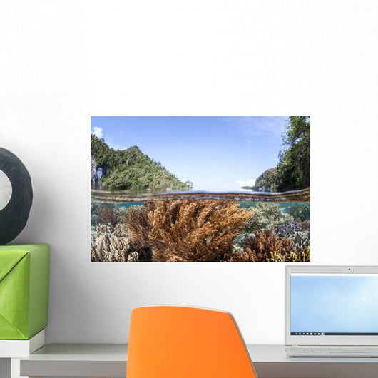 Healthy and Diverse Coral Wall Decal Design 3