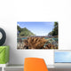 Healthy and Diverse Coral Wall Decal Design 3