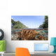 Healthy and Diverse Coral Wall Decal Design 3
