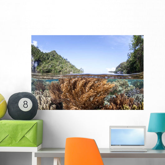 Healthy and Diverse Coral Wall Decal Design 3