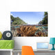 Healthy and Diverse Coral Wall Decal Design 3