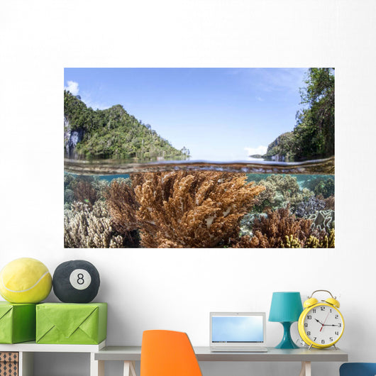 Healthy and Diverse Coral Wall Decal Design 3