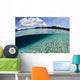 Sunlight Dances across Sandy Wall Decal Design 4