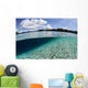 Sunlight Dances across Sandy Wall Decal Design 4
