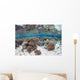 Healthy and Diverse Coral Wall Decal Design 2