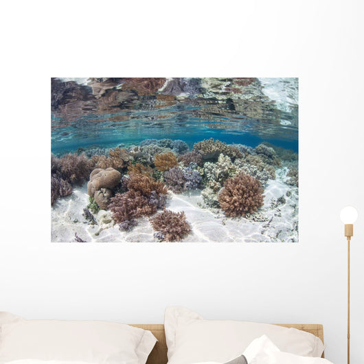 Healthy and Diverse Coral Wall Decal Design 2