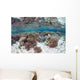 Healthy and Diverse Coral Wall Decal Design 2