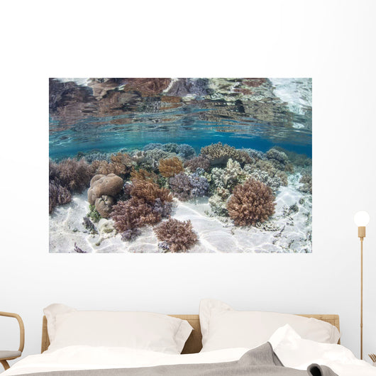 Healthy and Diverse Coral Wall Decal Design 2