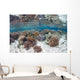 Healthy and Diverse Coral Wall Decal Design 2