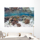 Healthy and Diverse Coral Wall Decal Design 2
