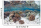 Healthy and Diverse Coral Wall Decal Design 2