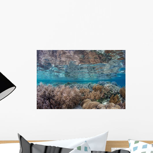 Healthy and Diverse Coral Wall Decal Design 1