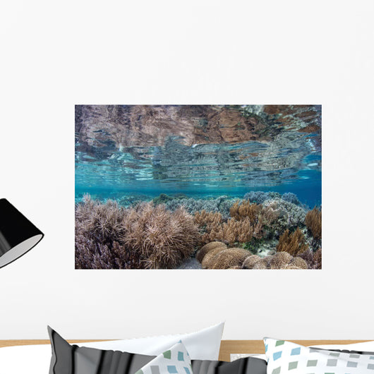 Healthy and Diverse Coral Wall Decal Design 1