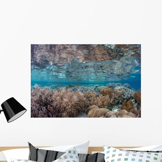 Healthy and Diverse Coral Wall Decal Design 1