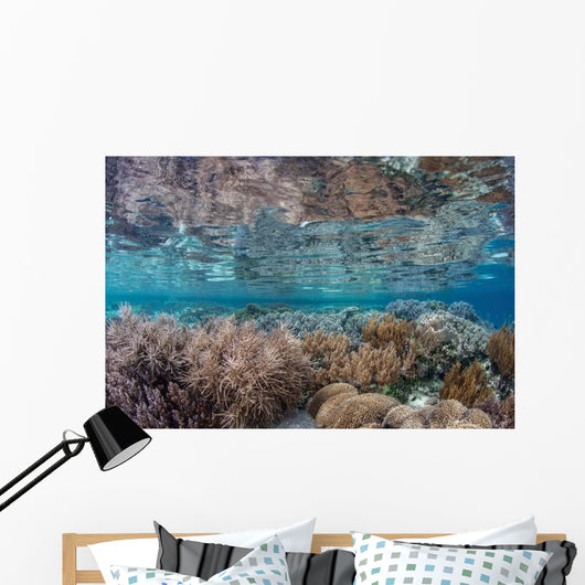 Healthy and Diverse Coral Wall Decal Design 1