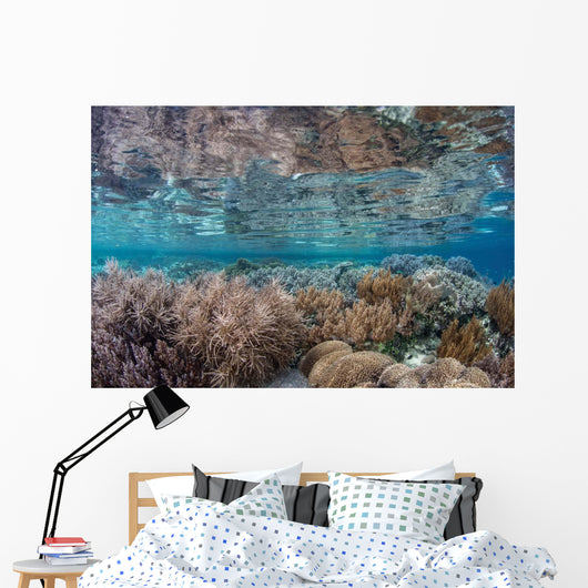 Healthy and Diverse Coral Wall Decal Design 1