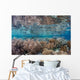 Healthy and Diverse Coral Wall Decal Design 1