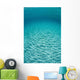 Sunlight Dances across Sandy Wall Decal Design 1