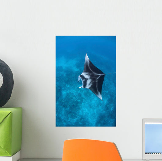 Large Reef Manta Ray Wall Decal Design 2