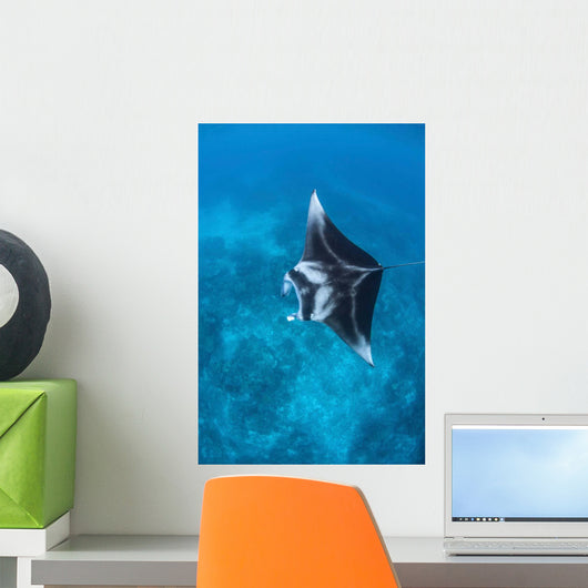 Large Reef Manta Ray Wall Decal Design 2
