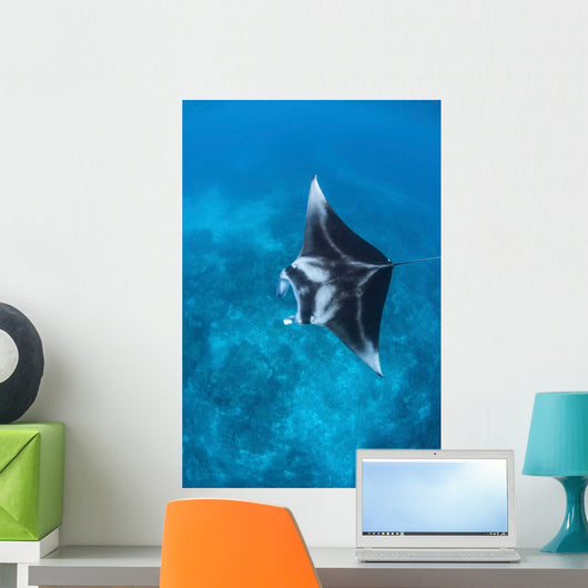 Large Reef Manta Ray Wall Decal Design 2