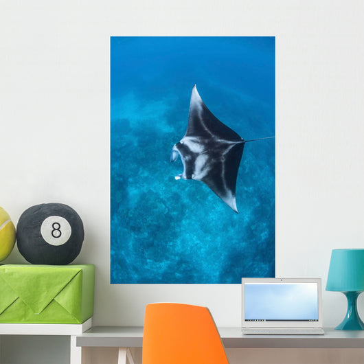 Large Reef Manta Ray Wall Decal Design 2