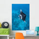 Large Reef Manta Ray Wall Decal Design 2