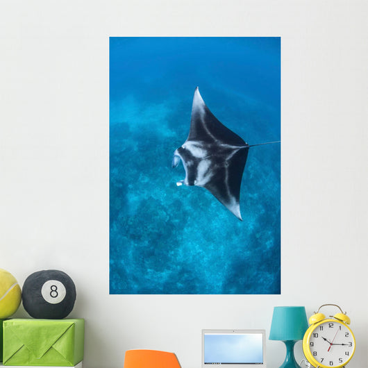 Large Reef Manta Ray Wall Decal Design 2