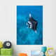 Large Reef Manta Ray Wall Decal Design 2