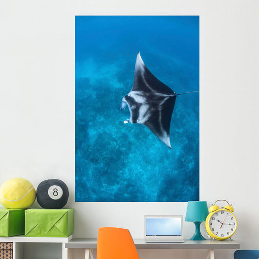 Large Reef Manta Ray Wall Decal Design 2
