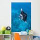 Large Reef Manta Ray Wall Decal Design 2