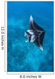 Large Reef Manta Ray Wall Decal Design 2