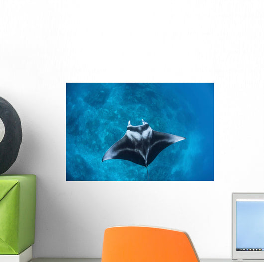 Large Reef Manta Ray Wall Decal Design 1