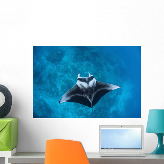 Large Reef Manta Ray Wall Decal Design 1