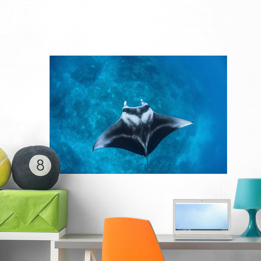 Large Reef Manta Ray Wall Decal Design 1