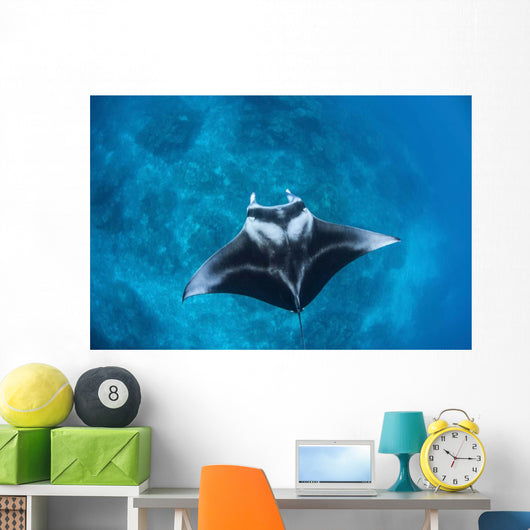 Large Reef Manta Ray Wall Decal Design 1